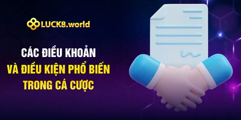 Các điều khoản và điều kiện phổ biến trong cá cược