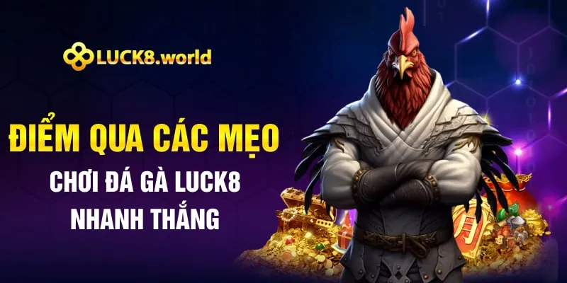 Điểm qua các mẹo chơi đá gà Luck8 nhanh thắng