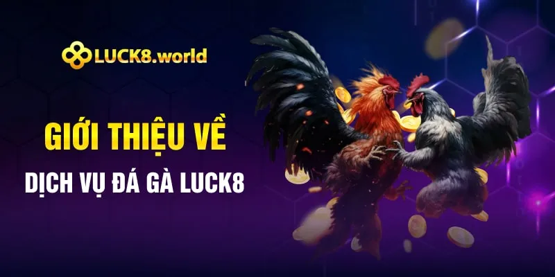Giới thiệu về dịch vụ đá gà Luck8