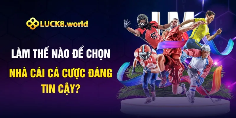 Làm thế nào để chọn nhà cái cá cược đáng tin cậy?