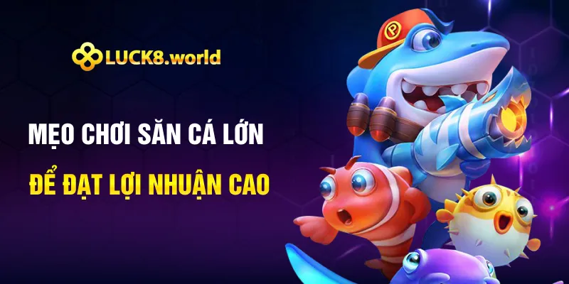 Mẹo chơi săn cá lớn để đạt lợi nhuận cao